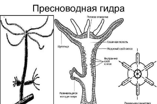 Как зайти на мегу даркнет